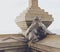 A long-tailed mother macaque with her baby monkey