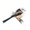 Long-tailed tit bird watercolor illustration. Hand drawn realistic aeghitalos caudatus. Cute fluffy small tit on the