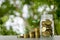 Long-term investment or making money with the right concepts. A plant growth on stack of coins on wood table with full coins in