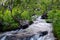 Long-term photos of a river through stones and  the green nature in norway