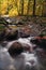 Long time exposure river with orange leafs and trees in autumn from Bavaria Germany