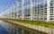 Long Tomato Greenhouse in Maasdijk