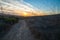 A long trail, footpath in the wilderness at sunset in Morro Bay State Park, CA