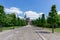 Long tree-lined alley leading to the Frederiksborg Castle in Hillerod