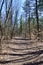 Long tree shadows along Hickling Recreational Trail