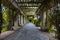 Long tunnel with pergola with ivy and bushes around over big fountain