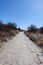 Long vertical view of a curved sandy trail through brown tall grass and bushes