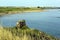 Long view of Elie coastline