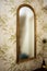 Long vintage mirror on wall with wallpaper and peacock feather antique retro design