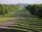 The Long Walk, Great Windsor Park, England.