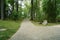 Long walking trail leading through a green park