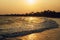 Long wave, golden sunset on the ocean shore in the tropics. Silhouette of palm trees on the horizon