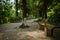 Long wayside bench in woods of sunny summer