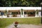 Long white tent for wedding party in the woods