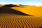 Long wind formed ripples with shadow defined edges in dunes of H