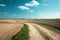 A long winding dirt road between plowed fields