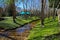 A long winding flowing creek in the garden surrounded by lush green trees and plants with bare winter trees, benches