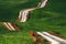 A long and winding rural path crosses the green hills, Tuscany, Italy