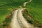 A long and winding rural path crosses the hills, Tuscany, Italy