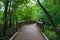 A long winding wooded bridge in the forest surrounded by lush green trees and plants on the Doll`s Head Trail at Constitution Lake