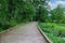 A long winding wooded bridge in the forest surrounded by lush green trees and plants on the Doll`s Head Trail at Constitution Lake