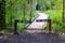 A long winding wooden footpath through the forest with no bikes signs surrounded by lush green and autumn colored trees