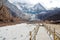 Long wood bridge to Pearl Lake with landscape Holy snow Mountain at Yading winter season in Daocheng ,China,Beautiful Nature Trav