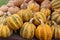 Long wood table with assortment of Fall pumpkins for sale