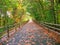 Long wooded trail