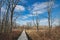 Long Wooden Boardwalk Passing through Marsh and Forest