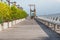 Long wooden bridge into the sea along side with green bush and wooden bench with blue sky in the background.