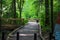 A long wooden footpath through the forest surrounded by lush green trees on the Doll`s Head Trail at Constitution Lakes