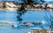 Long wooden pier and boats at California`s Lake Cachuma with San Rafael Mountains