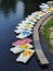 long wooden pier with many catamarans boats