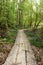 Long wooden plank path leads into lush woodland in springtime