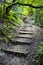 Long wooden staircase