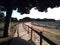 Long wooden trekking path way to the forest