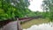 Long wooden walk way bridge in mangrove green at Bangkrachao area