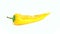 Long yellow pepper isolated