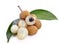 Longan (Dimocarpus longan) on white background