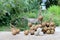 Longan Fresh. A bunch of Longan and Peel on a wooden background with green natural background in the garden from northen Thailand.