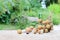Longan Fresh. A bunch of Longan and Peel on a wooden background with green natural background in the garden from northen Thailand.