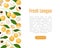 Longan Fresh Natural Fruit Banner Design Vector Template