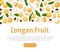 Longan Fresh Natural Fruit Banner Design Vector Template