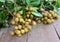 Longan fruit