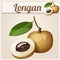 Longan fruit. Cartoon vector icon