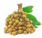 Longan Thai fruit