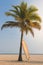 Longboard surfboard leaning against a coconut tree by the sea