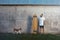 Longboarder with basenji dog next to gray concrete wall