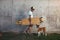 Longboarder with basenji dog next to gray concrete wall